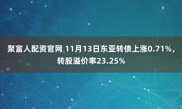 聚富人配资官网 11月13日东亚转债上涨0.71%，转股溢价率23.25%