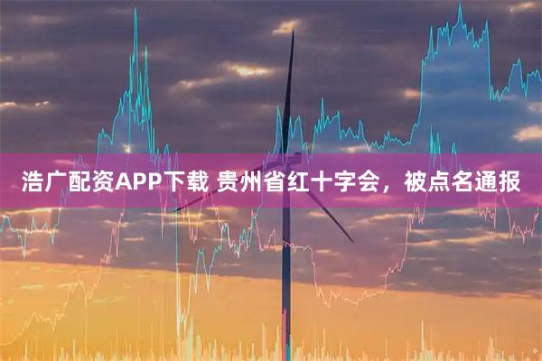 浩广配资APP下载 贵州省红十字会，被点名通报