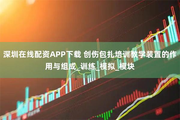 深圳在线配资APP下载 创伤包扎培训教学装置的作用与组成_训练_模拟_模块