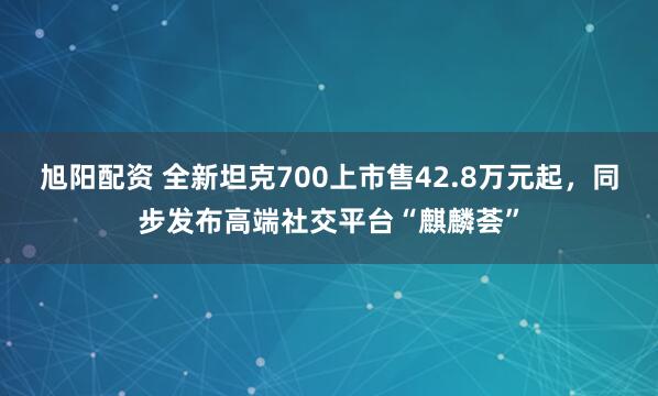 旭阳配资 全新坦克700上市售42.8万元起，同步发布高端社交平台“麒麟荟”